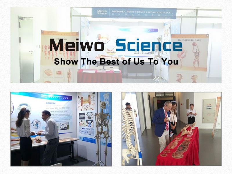 Exhibitions and Conferences Exhibitions and Conferences