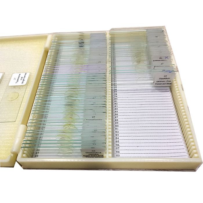 meiwo microscope slides