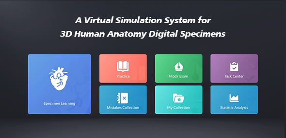 3D Digital Human Specimens Teaching System 3D Digital Human Specimens Teaching System